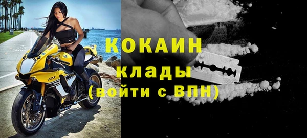 ECSTASY Алзамай