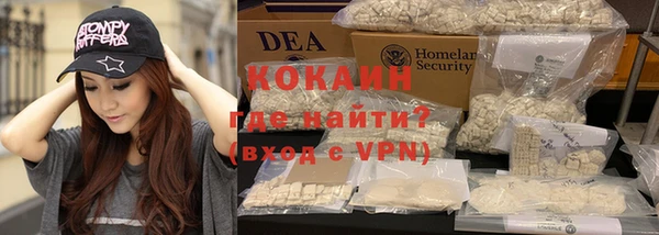 ECSTASY Алзамай