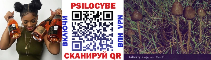 даркнет клад  Уяр  Псилоцибиновые грибы GOLDEN TEACHER  как найти наркотики 
